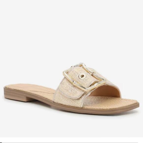 New ▶️ Dolce Vita ◀️ Big Buckle Slide Sandals. Size 9.5 - Picture 2 of 15